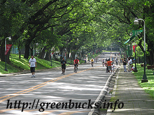 up-diliman-during-sundays.jpg